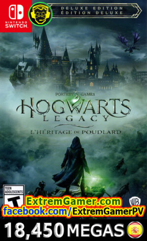 Hogwarts Legacy – Switch.